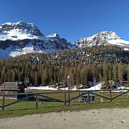 Апартаменты Casa Dolomiti Моэна Экстерьер фото