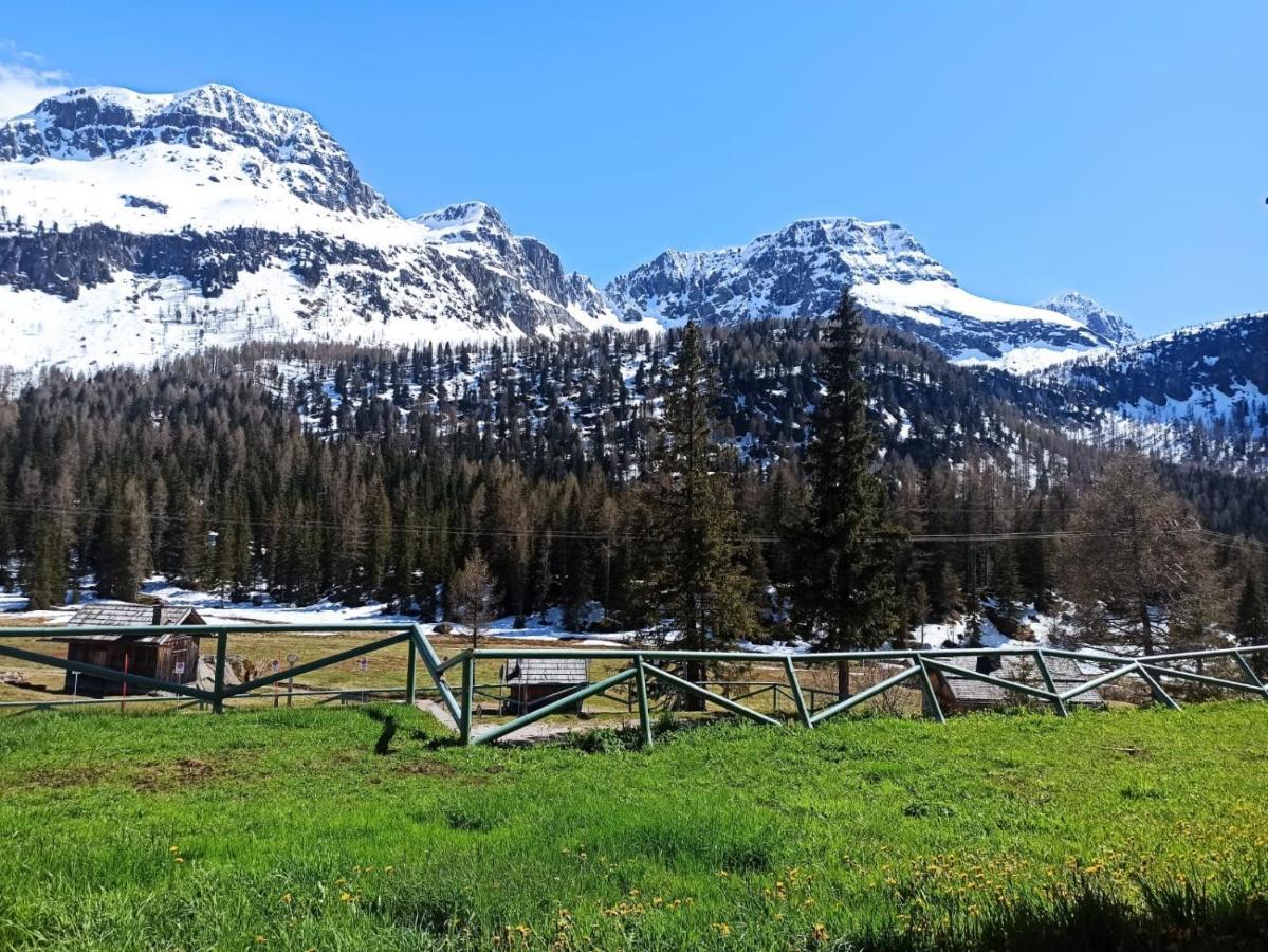 Апартаменты Casa Dolomiti Моэна Экстерьер фото